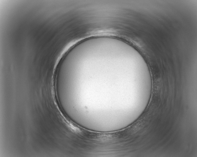 X0000057061470200509161439