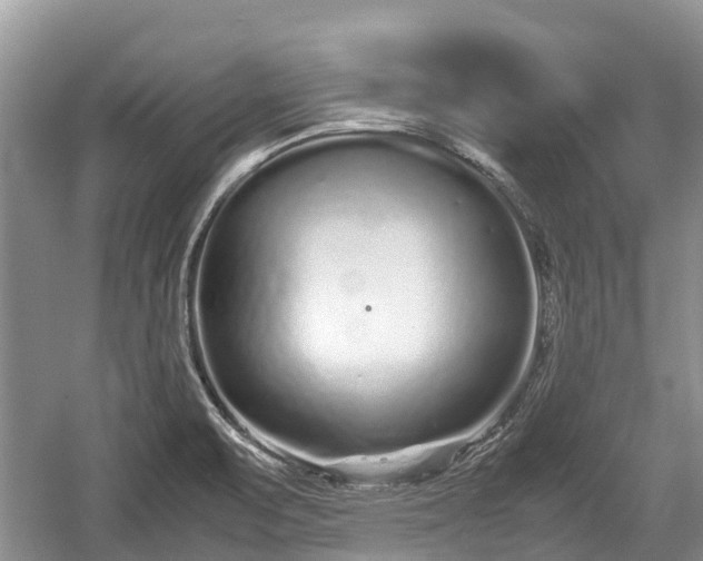 X0000057061471200509161439