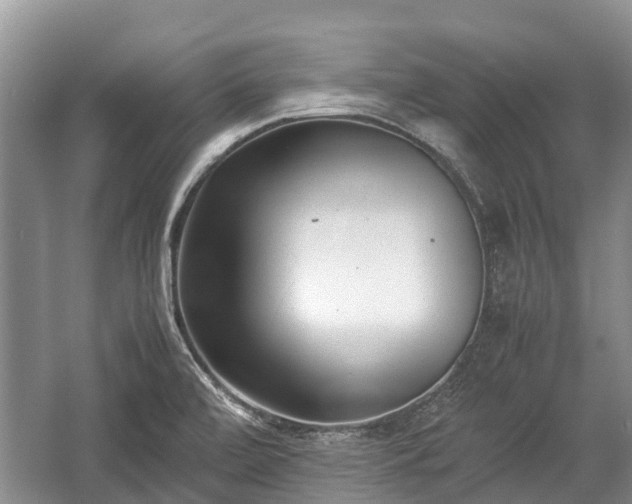 X0000057061472200509161439