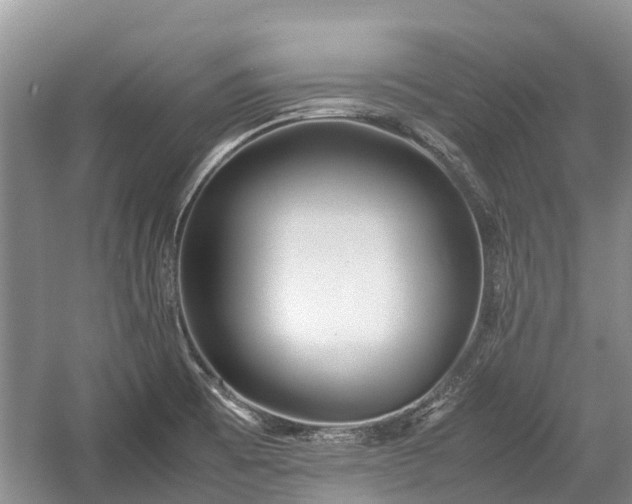 X0000057061473200509161439