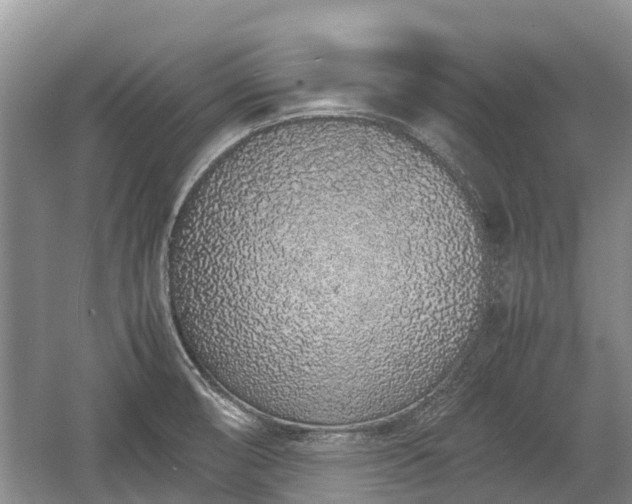 X0000057061474200509161439