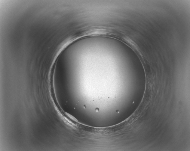 X0000057061475200509161439