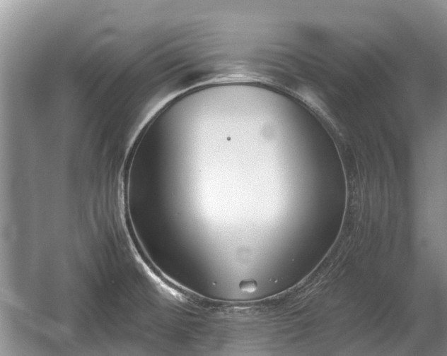 X0000057061476200509161439