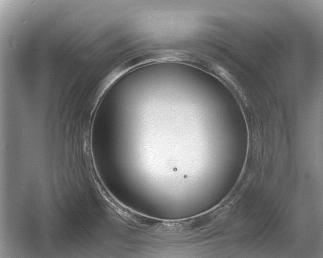 X0000057061481200509161439