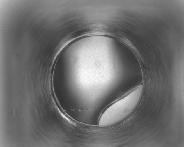 X0000057061484200509161439