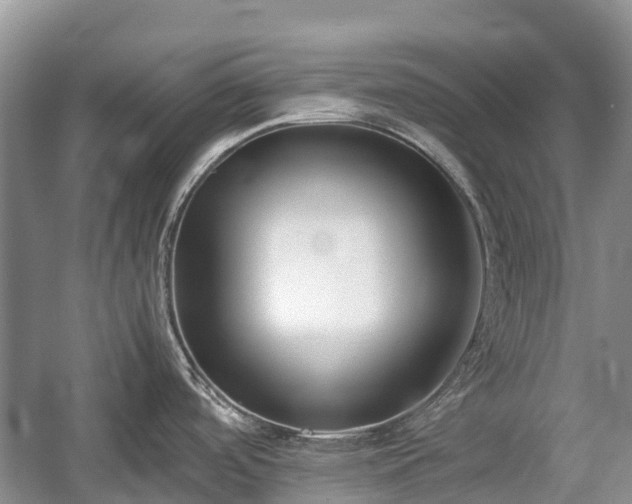 X0000057061488200509161438