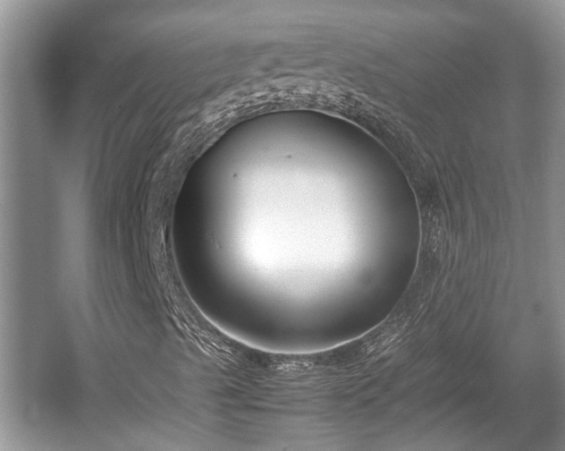 X0000057061489200509161438