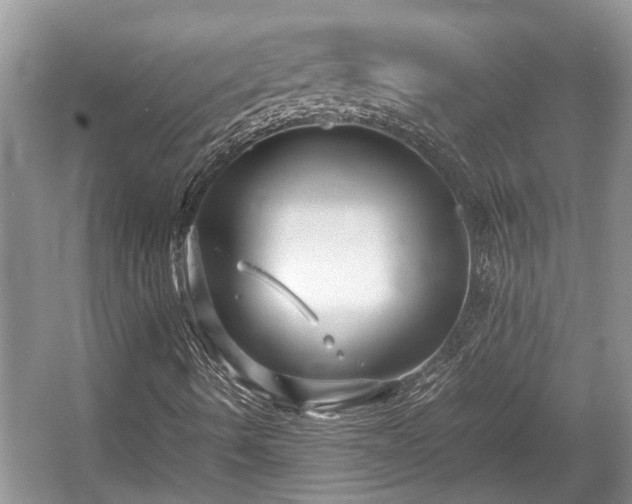 X0000057061490200509161438