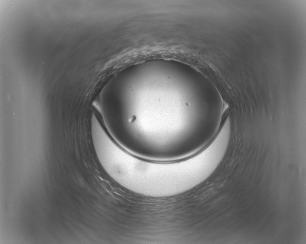 X0000057061492200509161438