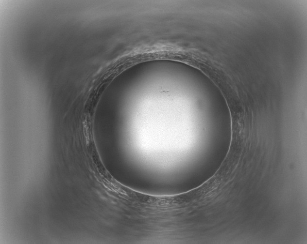 X0000057061493200509161438