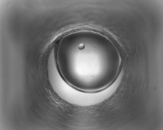 X0000057061496200509161438