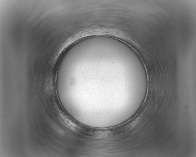 X0000057061498200509161438