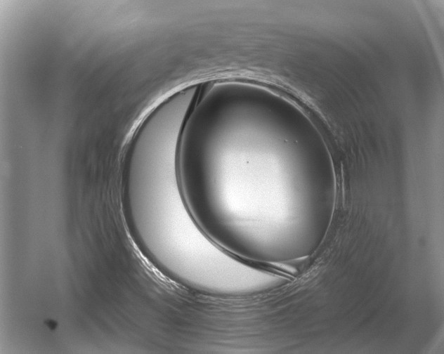 X0000057061500200509161438