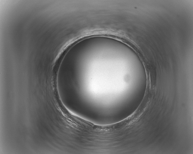 X0000057061501200509161438