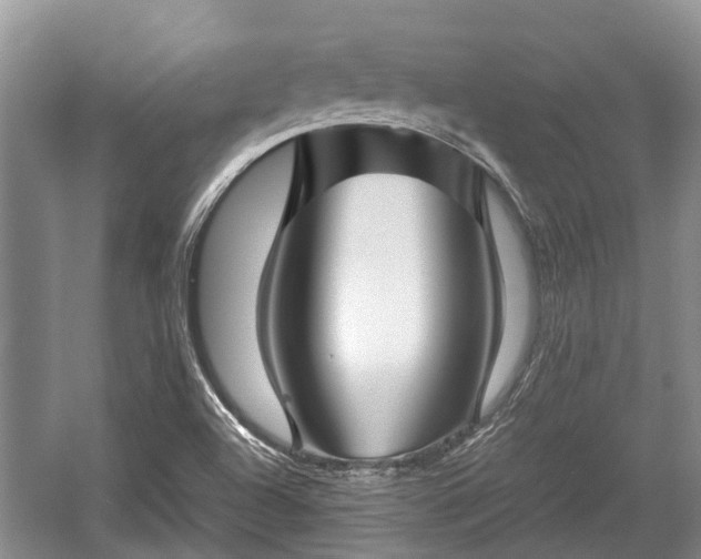 X0000057061504200509161438