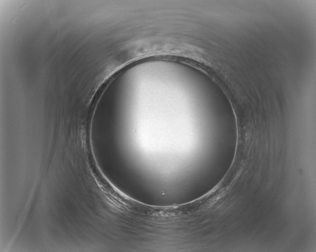 X0000057061505200509161438