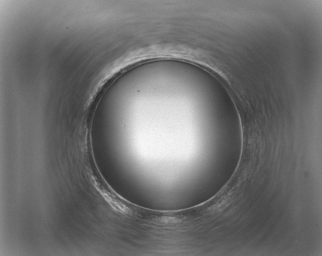 X0000057061507200509161438