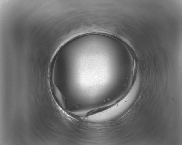 X0000057061508200509161438