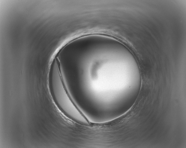 X0000057061512200509161438