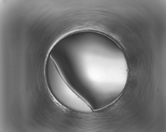 X0000057061516200509161438