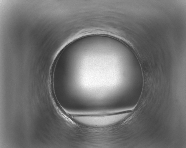 X0000057061518200509161438