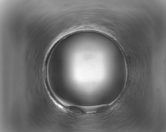 X0000057061519200509161438