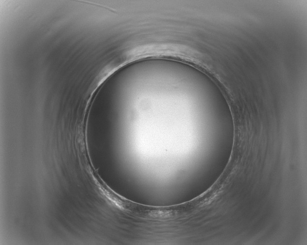 X0000057061521200509161438