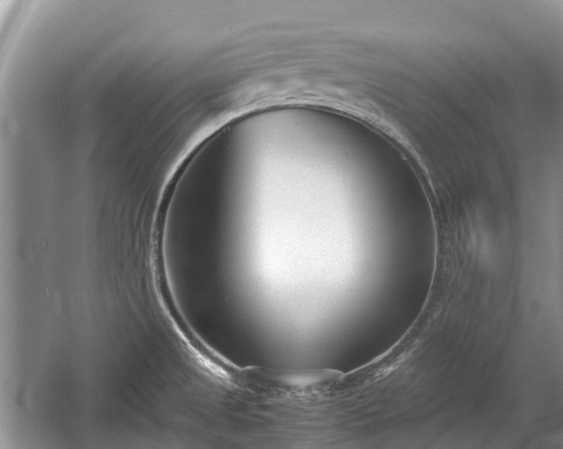 X0000057061525200509161438