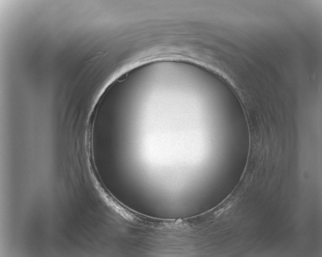 X0000057061526200509161438