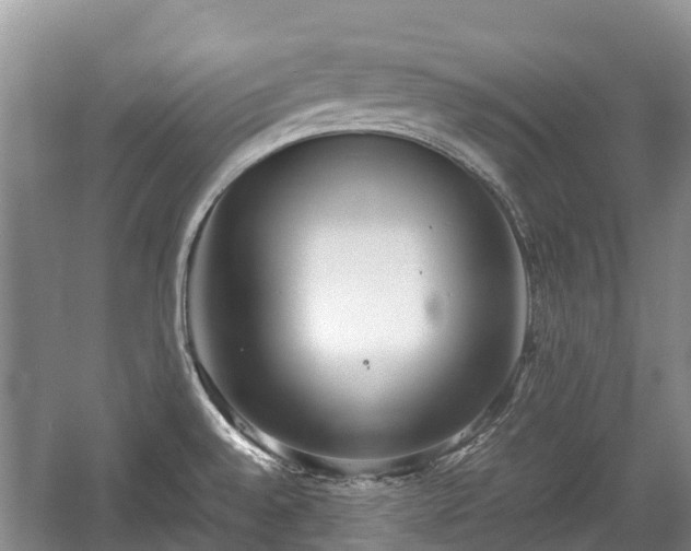 X0000057061528200509161438