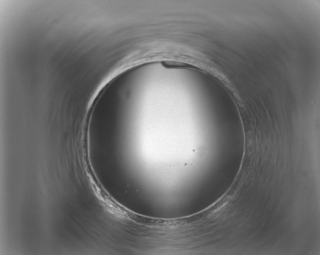 X0000057061530200509161438