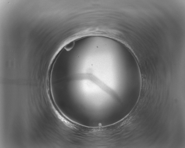 X0000057061531200509161438