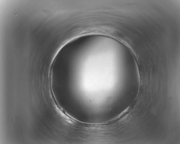 X0000057061532200509161438