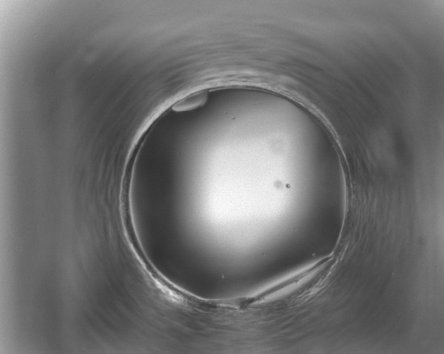 X0000057061533200509161438