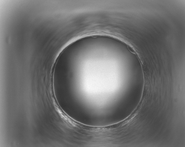 X0000057061534200509161438