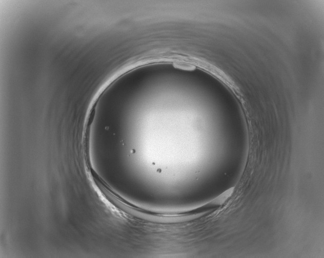 X0000057061536200509161438