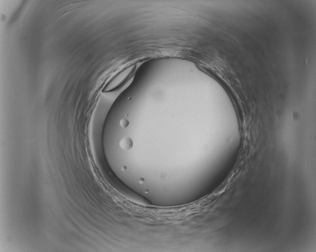 X0000057060001200509231544