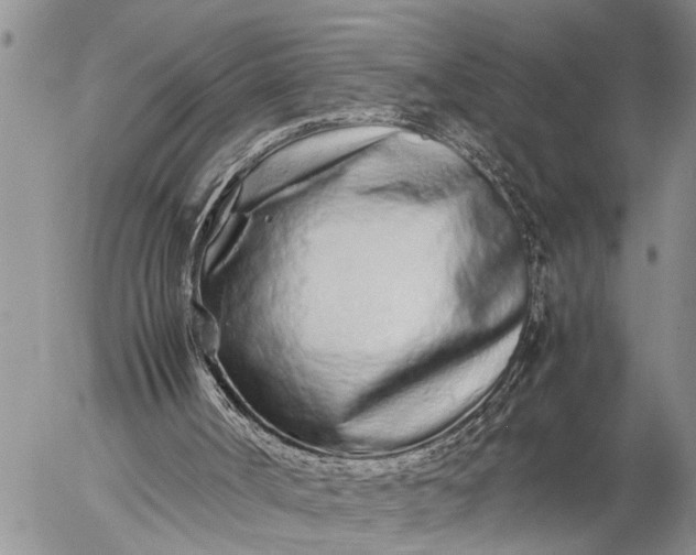 X0000057060002200509231544