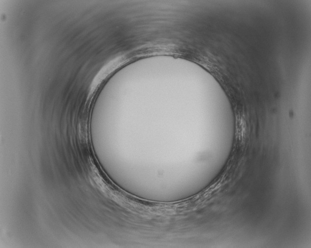 X0000057060004200509231544