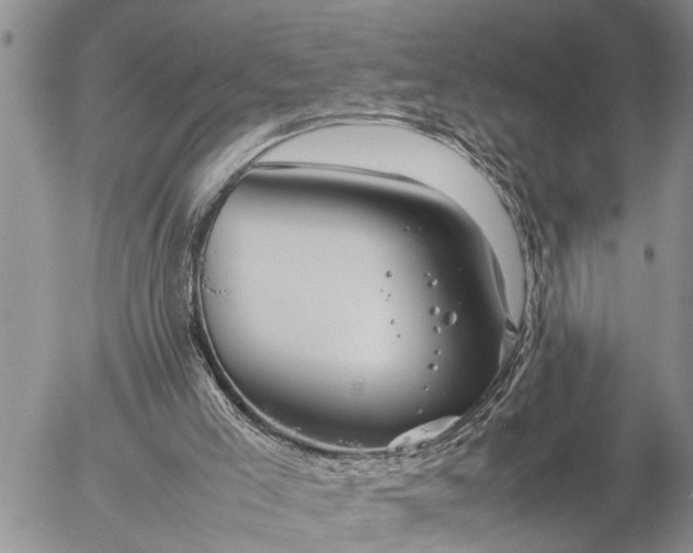 X0000057060005200509231544