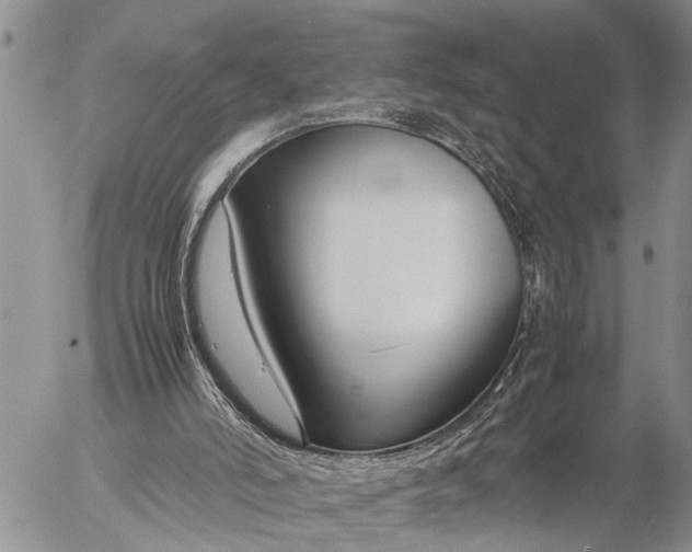 X0000057060006200509231544