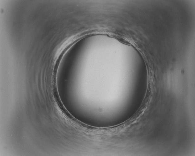 X0000057060007200509231544