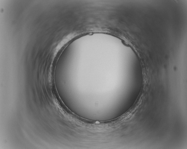 X0000057060008200509231544