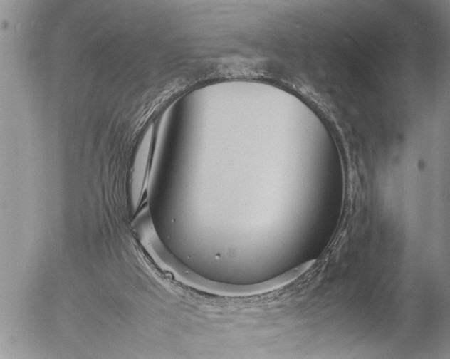 X0000057060009200509231544