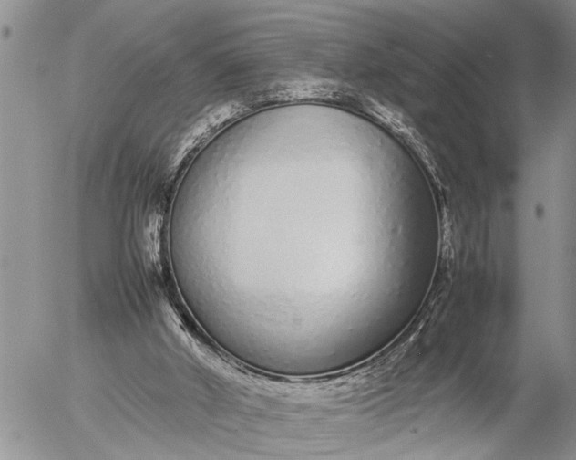 X0000057060010200509231544