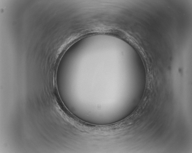 X0000057060011200509231544