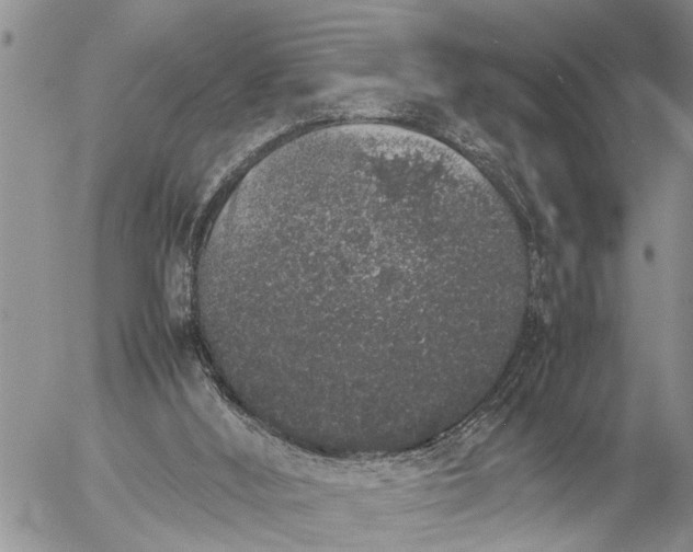 X0000057060012200509231544