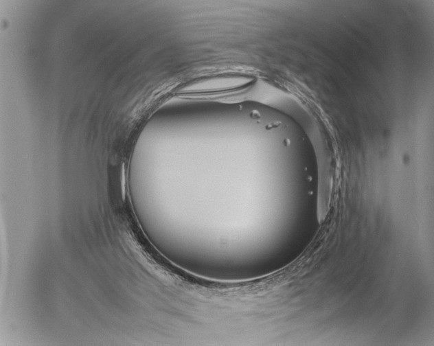 X0000057060013200509231544