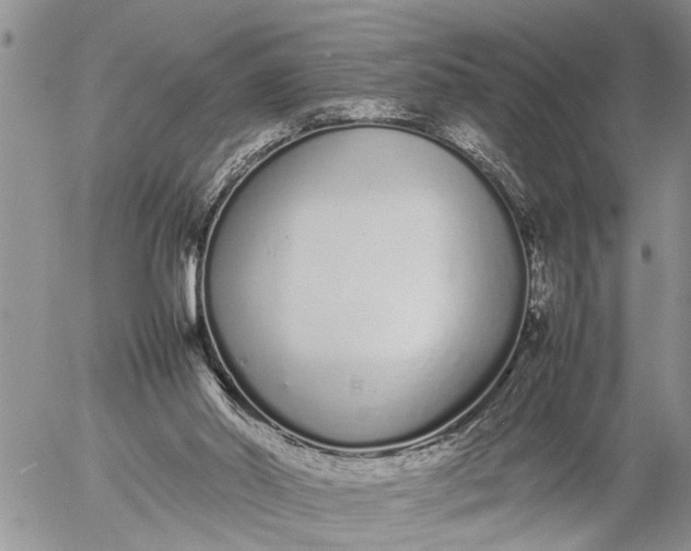 X0000057060014200509231544