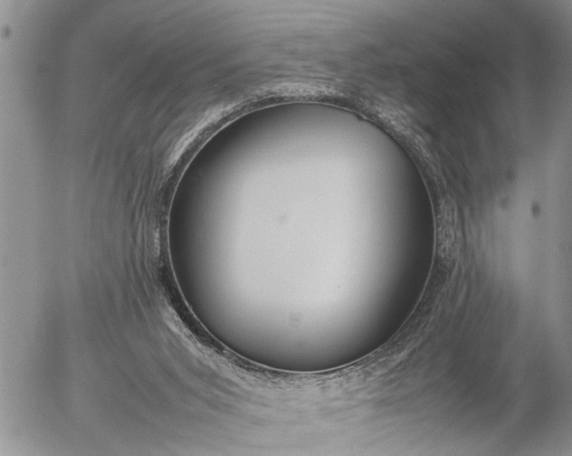 X0000057060015200509231544